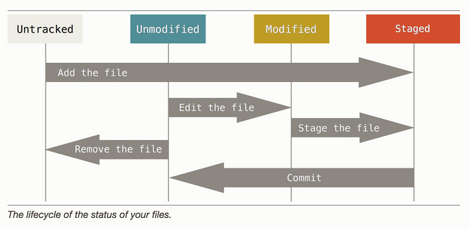 The lifecycle of the status of your files
